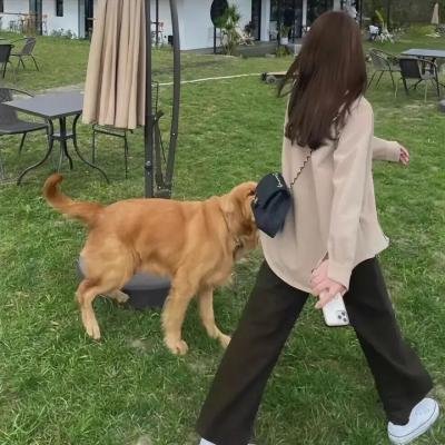 王贵与李香香